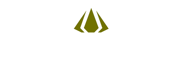 Luxury Rentals International